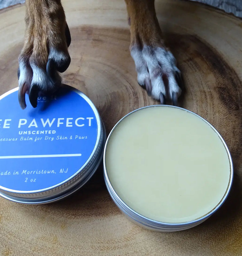 Organic Dog Balm -BEE PAWFECT- Paws, Dry Skin, Local Beeswax